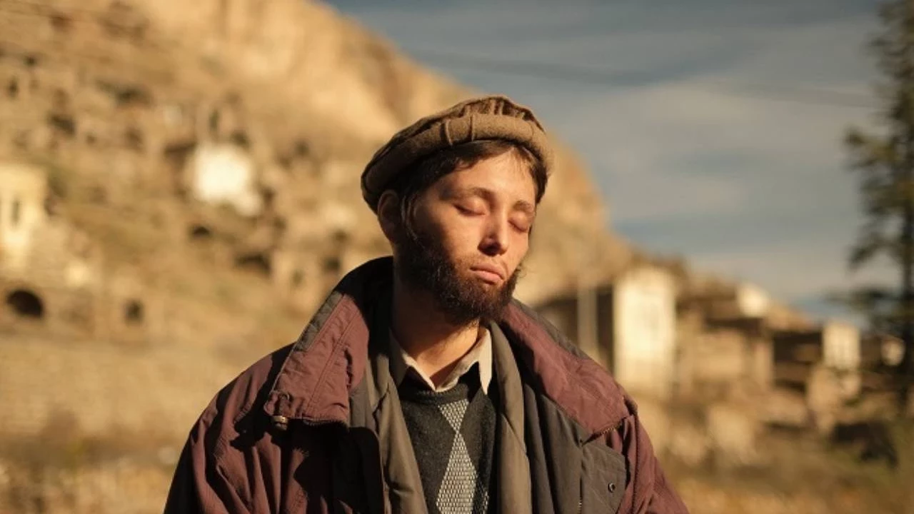 Altın Koza Film Festivali