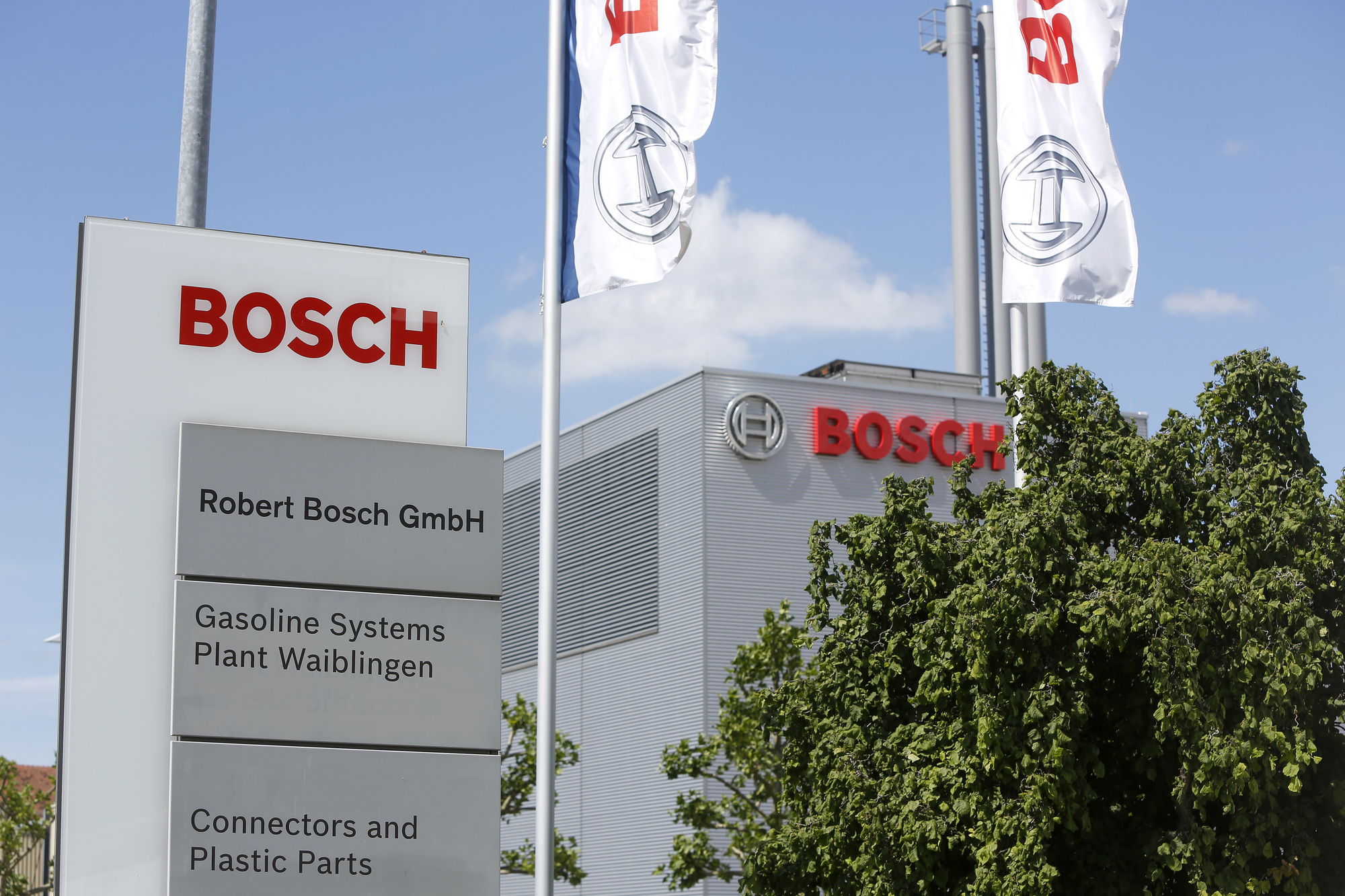 Bosch