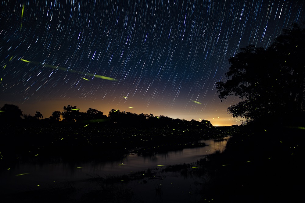 Draconid Meteor Yağmuru 8 Ekim’de görülecek Draconid Meteor Yağmuru