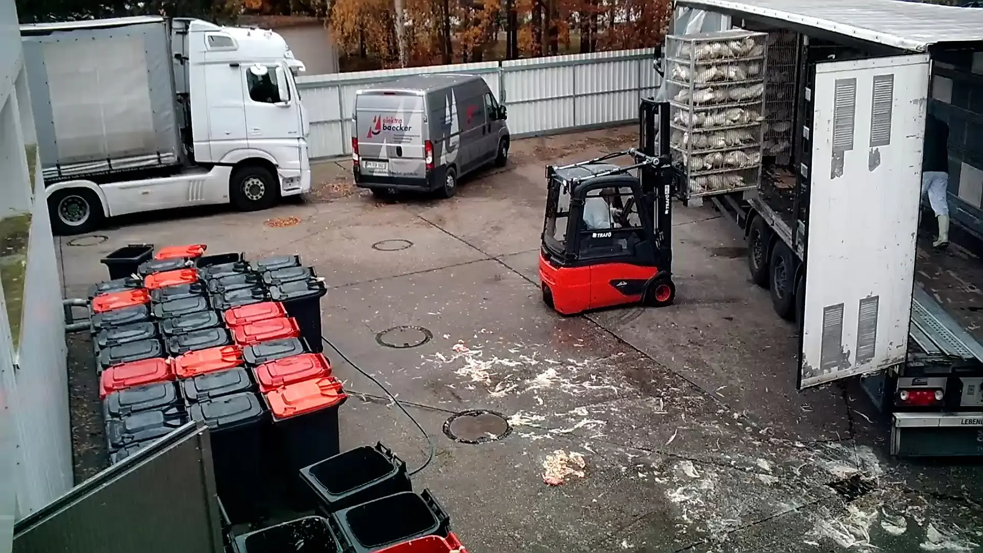 Dithmarscher Geflügel kesimhanesinde hayvanlara işkence skandalı Dithmarscher Geflügel kesimhanesinde hayvanlara işkence görüntüleri