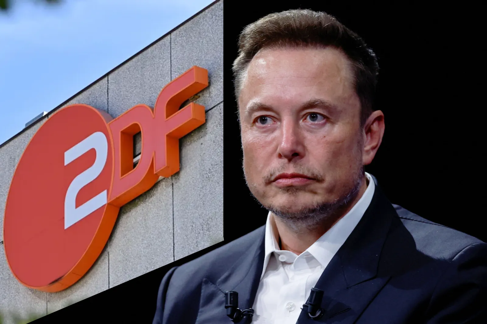 Elon Musk-ZDF