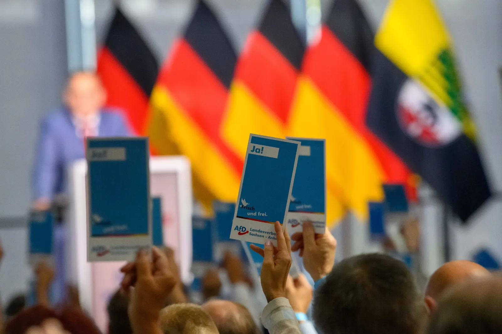 AfD iktidara gelirse ne olacak? İşte 100 günlük plan AfD Saksonya-Anhalt Eyalet Parti Konferansı